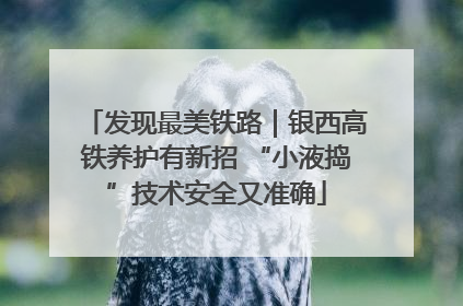 发现最美铁路｜银西高铁养护有新招 “小液捣”技术安全又准确