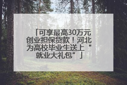 可享最高30万元创业担保贷款！河北为高校毕业生送上“就业大礼包”