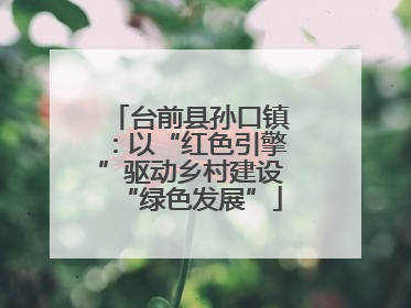 台前县孙口镇：以“红色引擎”驱动乡村建设“绿色发展”