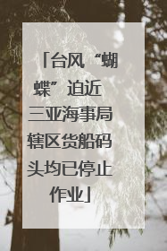 台风“蝴蝶”迫近 三亚海事局辖区货船码头均已停止作业