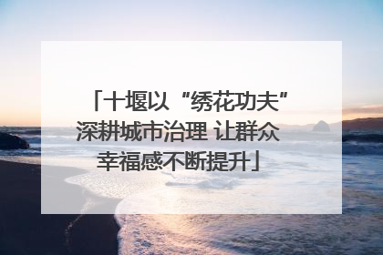 十堰以“绣花功夫”深耕城市治理 让群众幸福感不断提升