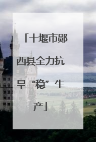 十堰市郧西县全力抗旱“稳”生产