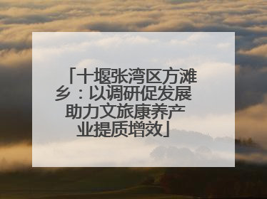 十堰张湾区方滩乡：以调研促发展 助力文旅康养产业提质增效