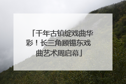千年古镇绽戏曲华彩！长三角顾锡东戏曲艺术周启幕