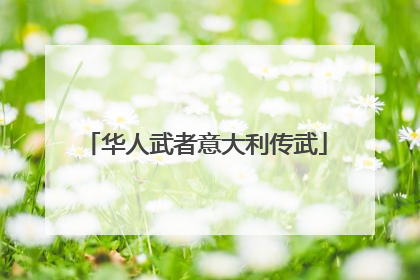华人武者意大利传武