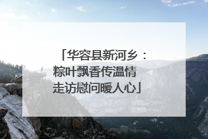 华容县新河乡：粽叶飘香传温情 走访慰问暖人心