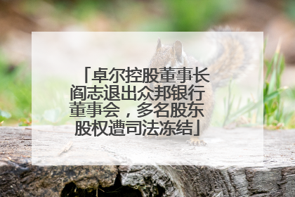 卓尔控股董事长阎志退出众邦银行董事会，多名股东股权遭司法冻结