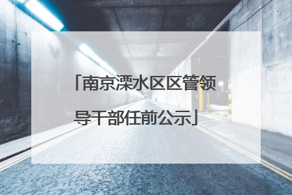 南京溧水区区管领导干部任前公示