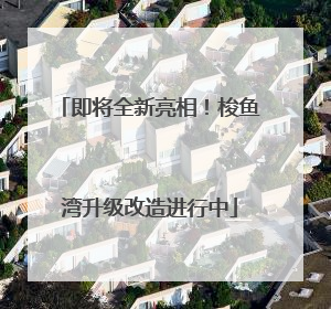 即将全新亮相！梭鱼湾升级改造进行中