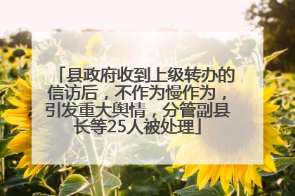 县政府收到上级转办的信访后，不作为慢作为，引发重大舆情，分管副县长等25人被处理