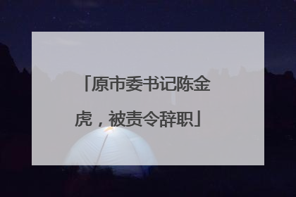 原市委书记陈金虎，被责令辞职