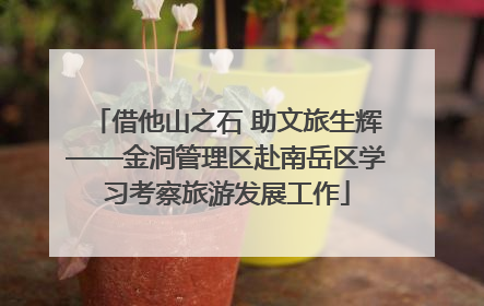 借他山之石 助文旅生辉——金洞管理区赴南岳区学习考察旅游发展工作