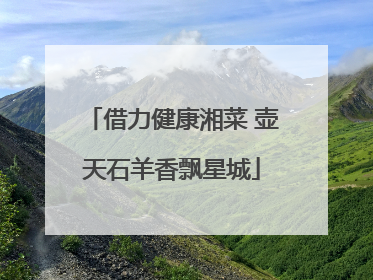 借力健康湘菜 壶天石羊香飘星城