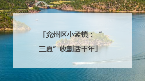 兖州区小孟镇：“三夏”收割话丰年