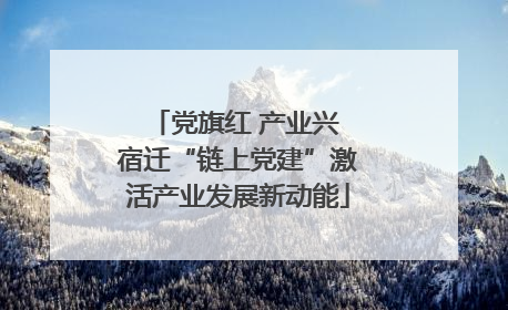党旗红 产业兴 宿迁“链上党建”激活产业发展新动能
