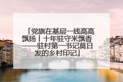 党旗在基层一线高高飘扬丨十年驻守米飘香——驻村第一书记莫日发的乡村印记