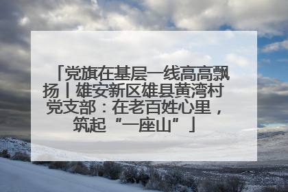 党旗在基层一线高高飘扬丨雄安新区雄县黄湾村党支部：在老百姓心里，筑起“一座山”