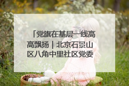 党旗在基层一线高高飘扬｜北京石景山区八角中里社区党委：用脚步丈量民生