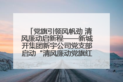 党旗引领风帆劲 清风廉动启新程——新城开集团新宇公司党支部启动“清风廉动党旗红”系列活动