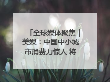 全球媒体聚焦｜美媒：中国中小城市消费力惊人 将成投资新机遇