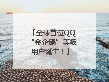 全球首位QQ“金企鹅”等级用户诞生！