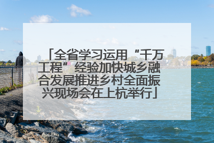 全省学习运用“千万工程”经验加快城乡融合发展推进乡村全面振兴现场会在上杭举行