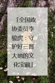 全国政协委员李骏虎：守护好三晋大地的文化宝藏