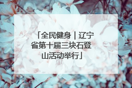 全民健身｜辽宁省第十届三块石登山活动举行