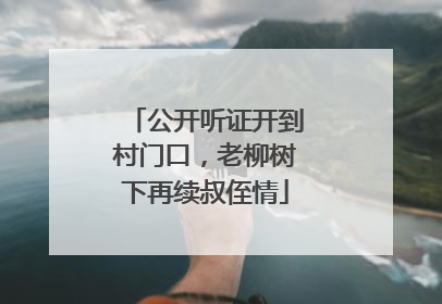 公开听证开到村门口，老柳树下再续叔侄情