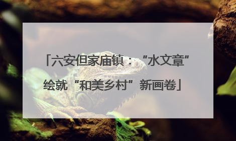 六安但家庙镇：“水文章” 绘就“和美乡村”新画卷