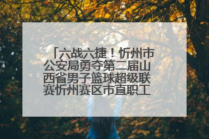 六战六捷！忻州市公安局勇夺第二届山西省男子篮球超级联赛忻州赛区市直职工组比赛冠军
