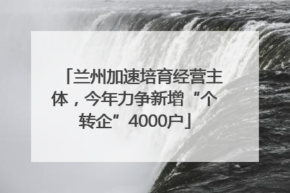 兰州加速培育经营主体，今年力争新增“个转企”4000户