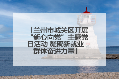 兰州市城关区开展“新心向党”主题党日活动 凝聚新就业群体奋进力量