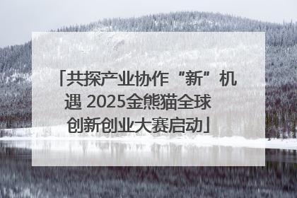 共探产业协作“新”机遇 2025金熊猫全球创新创业大赛启动