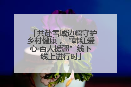 共赴雪域边疆守护乡村健康，“韩红爱心·百人援疆”线下线上进行时