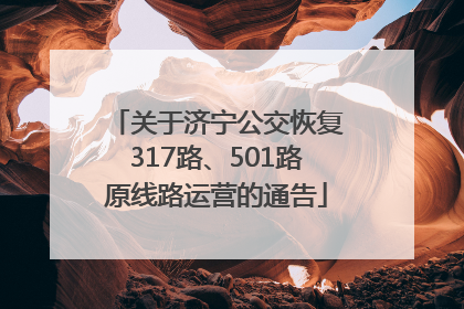 关于济宁公交恢复317路、501路原线路运营的通告