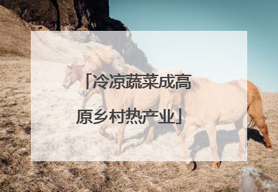 冷凉蔬菜成高原乡村热产业