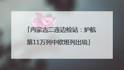 内蒙古二连边检站：护航第11万列中欧班列出境