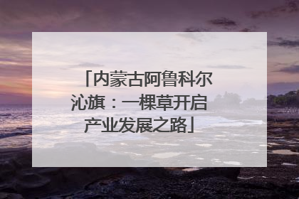 内蒙古阿鲁科尔沁旗：一棵草开启产业发展之路