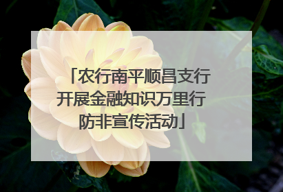 农行南平顺昌支行开展金融知识万里行防非宣传活动