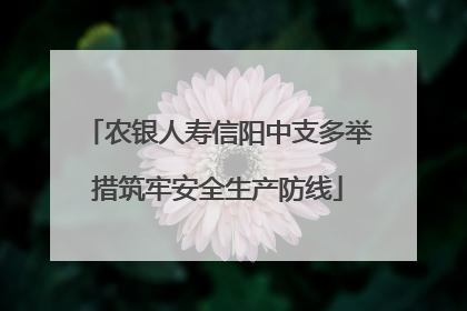 农银人寿信阳中支多举措筑牢安全生产防线