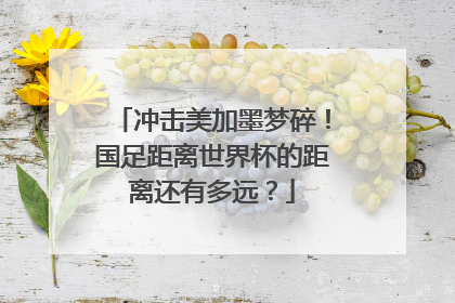 冲击美加墨梦碎！国足距离世界杯的距离还有多远？