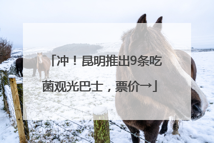 冲！昆明推出9条吃菌观光巴士，票价→