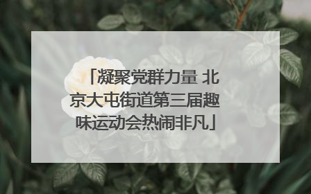 凝聚党群力量 北京大屯街道第三届趣味运动会热闹非凡