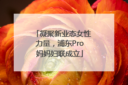 凝聚新业态女性力量，浦东Pro妈妈妇联成立
