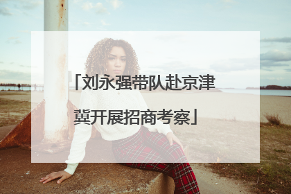 刘永强带队赴京津冀开展招商考察