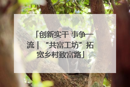 创新实干 事争一流｜“共富工坊”拓宽乡村致富路