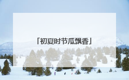 初夏时节瓜飘香