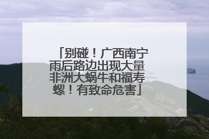 别碰！广西南宁雨后路边出现大量非洲大蜗牛和福寿螺！有致命危害