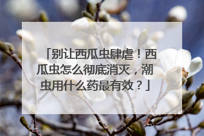 别让西瓜虫肆虐！西瓜虫怎么彻底消灭，潮虫用什么药最有效？